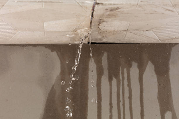 Professional Burst Pipe Cleanup technician working in Big Creek, WV